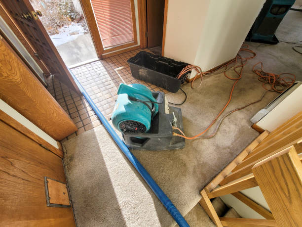 Best Sewage cleanup and water damage restoration  in Riverton, WY