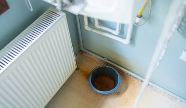Best Mold removal after water damage  in Riverton, WY
