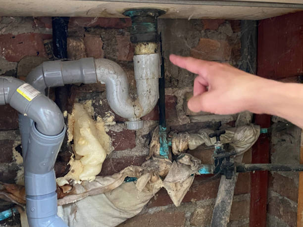 Best Water damage restoration near me  in Riverton, WY